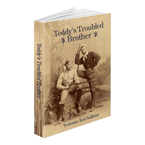 TeddysBroBookMockupSQ